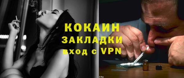 мдпв Снежинск