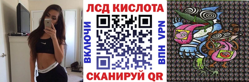 Купить где  Иланский  Марки N-bome 1,8мг